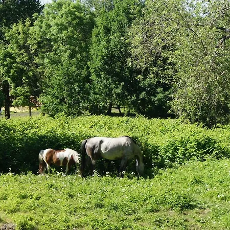 Vakantiehuis Villa Ulinia *
