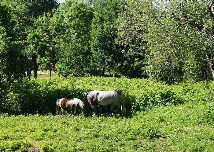 Tatil Evi Villa Ulinia *